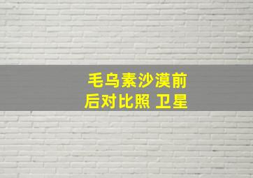 毛乌素沙漠前后对比照 卫星